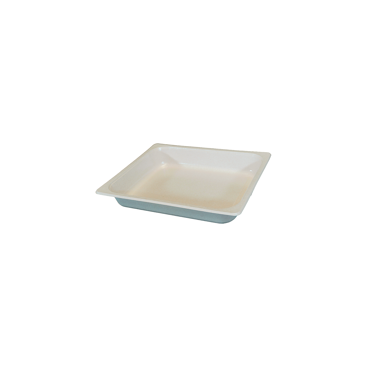 Novato Tray G12/50