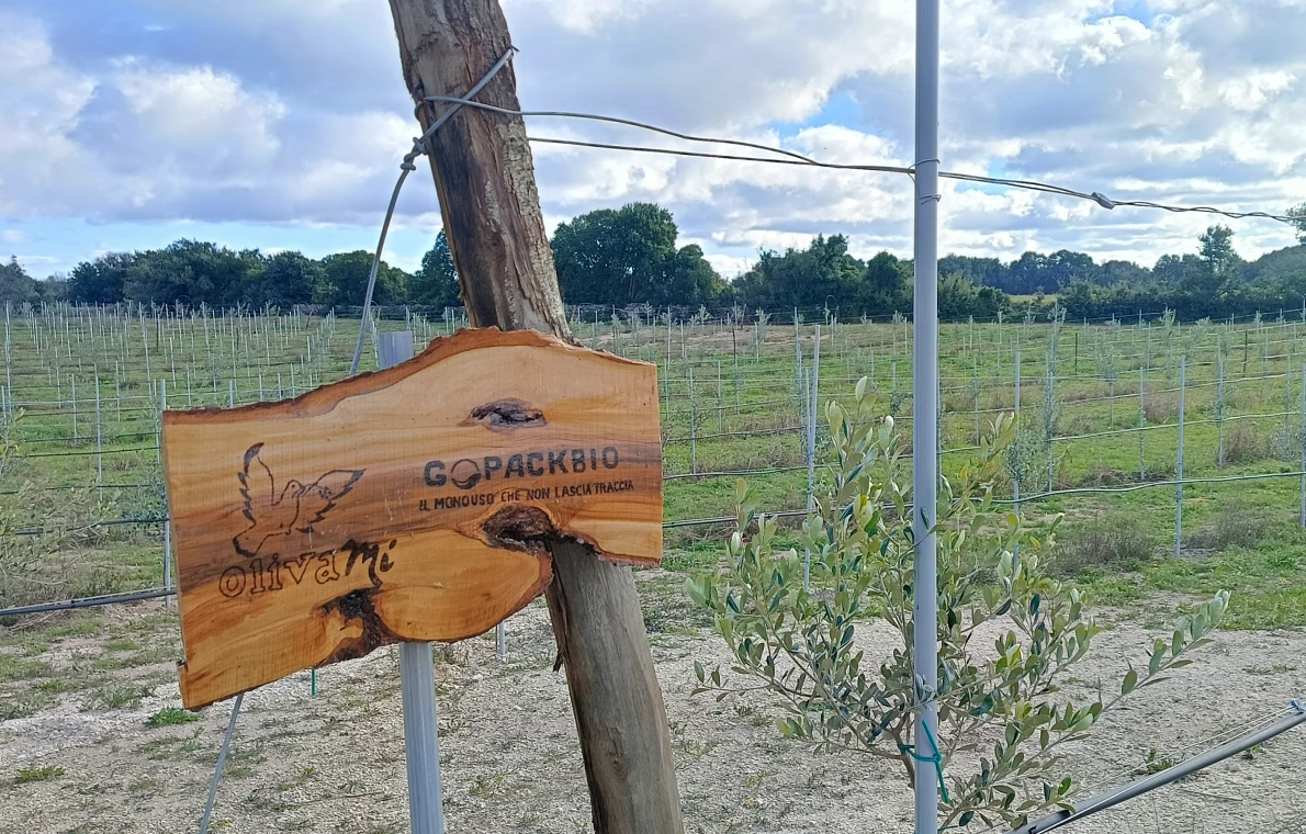 iniziativa sostenibilita aziendale gopack olivami