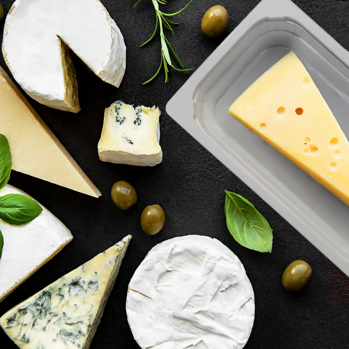 vaschette in pp gastro